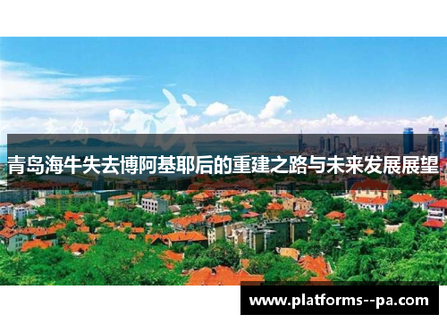 青岛海牛失去博阿基耶后的重建之路与未来发展展望