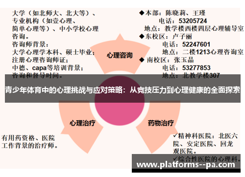 青少年体育中的心理挑战与应对策略：从竞技压力到心理健康的全面探索